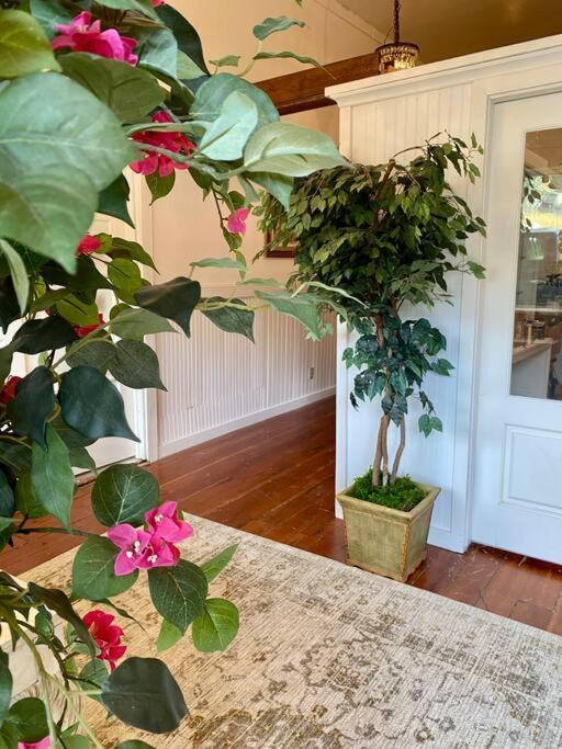 The Shopkeeper'S Cottage ~ Chic! Amador City Luaran gambar